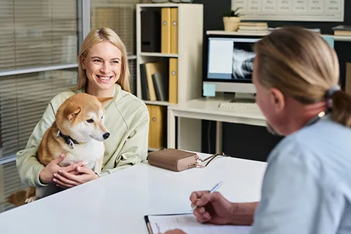 Consultoria de viagem internacional com pet